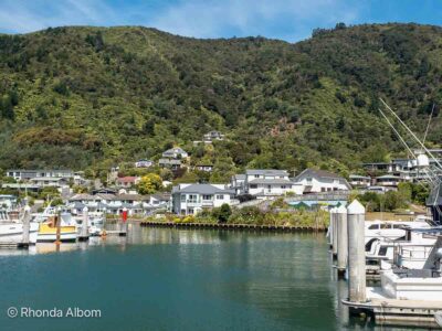 View of Picton from the marina reminding us that boating is one of our favourite Picton activities.